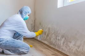 Reliable Farmington, UT Mold Remediation Solutions